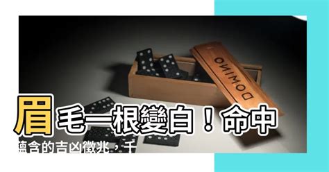 掌中訣 眉毛一根變白